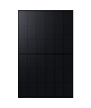 Indevolt Bifaziale Monokristalline Solarmodule (440W, 2er-Pack)